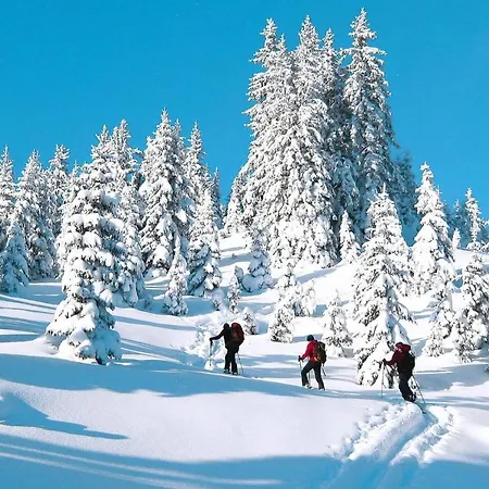 Holiday Erzberg Alpin - Osm02507-dyb شقة إيسينيرزير